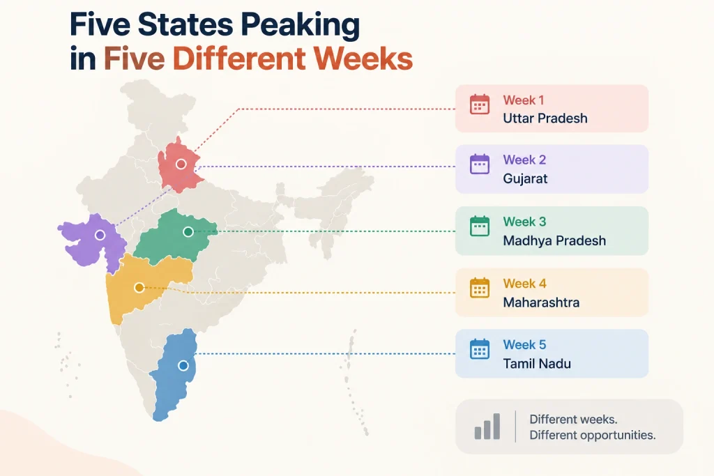 Five states peaking in five different weeks

